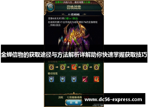 金蝉信物的获取途径与方法解析详解助你快速掌握获取技巧