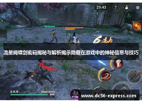 流星蝴蝶剑密码揭秘与解析揭示隐藏在游戏中的神秘信息与技巧